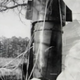 La bomba que quedó sujeta al árbol. Foto: USAF / Wikipedia